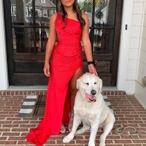 54958 Red Sherri Hill Beaded Prom Dress | Size: 2